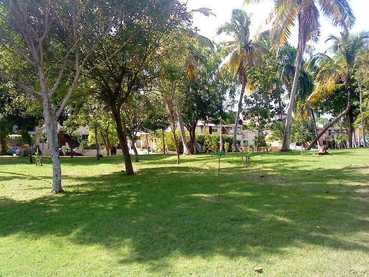 Jardines del Norte