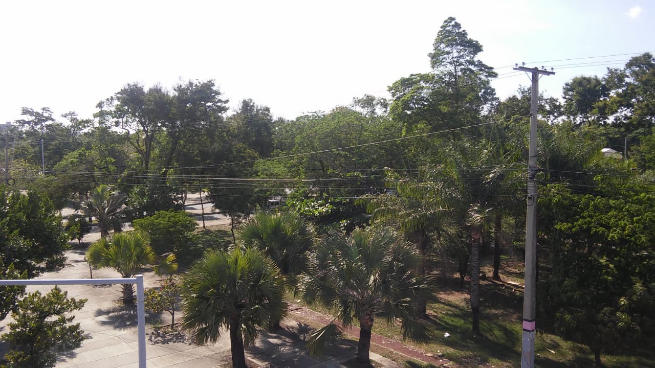 Jardines del Norte